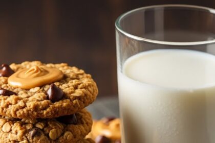 Flourless Peanut Butter Oatmeal Chocolate Chip Cookies