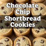 Chocolate Chip Shortbread Cookies