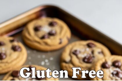 Gluten Free Healthy Chocolate Chip Cookies