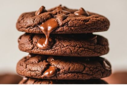 Soft Double Chocolate Chip Cookies