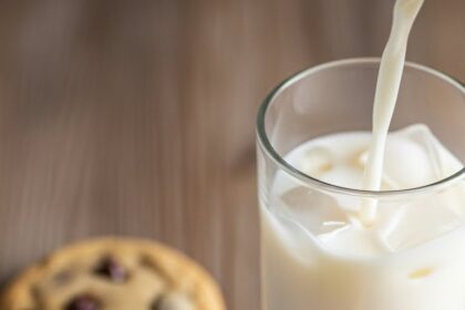 Vegan Sugar Free Chocolate Chip Cookies