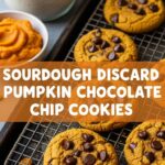Sourdough Discard Pumpkin Chocolate Chip Cookies