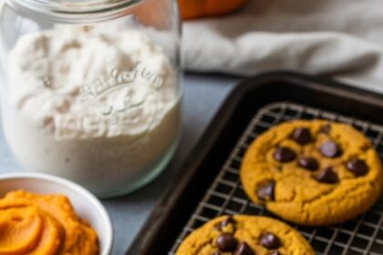 Sourdough Discard Pumpkin Chocolate Chip Cookies