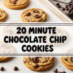 20 Minute Chocolate Chip Cookies