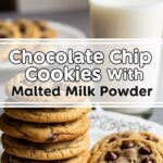 Chocolate Chip Cookies With Malted Milk Powder