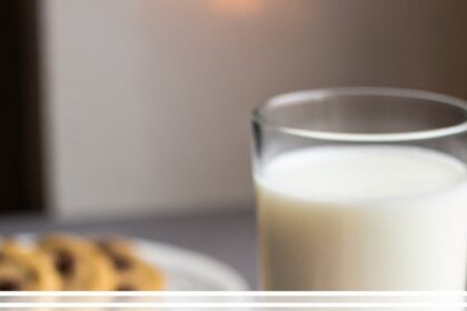 Chocolate Chip Cookies With Malted Milk Powder