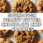 Sourdough Peanut Butter Chocolate Chip Cookies