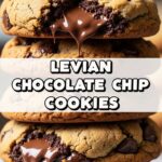Levian Chocolate Chip Cookies
