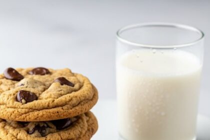 Sugar Free Chocolate Chip Cookies