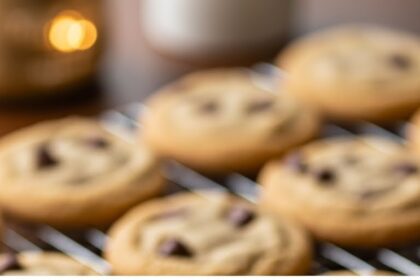 Small Batch Chocolate Chip Cookies