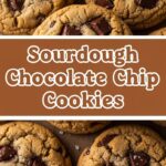 Sourdough Chocolate Chip Cookies