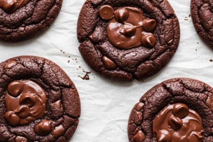 Chocolate Chip Brownie Cookies
