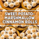 Sweet Potato-Marshmallow Cinnamon Rolls