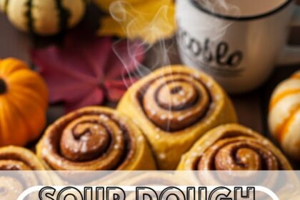 Sour Dough Discard Pumpkin Cinnamon Rolls