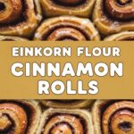 Einkorn Flour Cinnamon Rolls