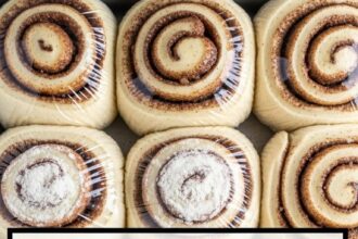 Freezer Cinnamon Rolls