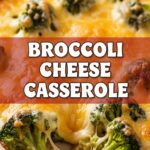Broccoli Cheese Casserole