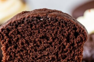 Moist Chocolate Cupcakes