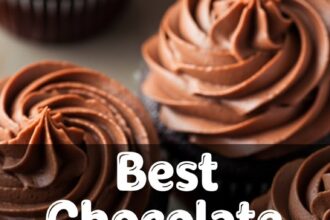Best Chocolate Cupcakes Moist