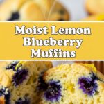 Moist Lemon Blueberry Muffins