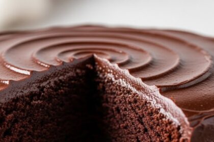 Sour Cream Chocolate Cake Moist