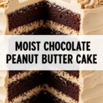 Moist Chocolate Peanut Butter Cake