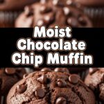 Moist Chocolate Chip Muffin