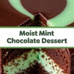 Moist Mint Chocolate Dessert