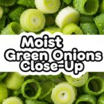 Moist Green Onions Close-Up