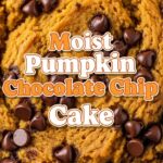 Moist Pumpkin Chocolate Chip Cake