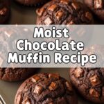 Moist Chocolate Muffin Recipe