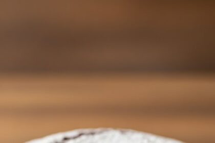 Moist Cake With Powdered Sugar Topping