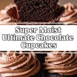 Super Moist Ultimate Chocolate Cupcakes