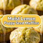 Moist Lemon Poppy Seed Muffins