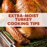 Extra-Moist Turkey Cooking Tips