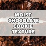 Moist Chocolate Cookie Texture