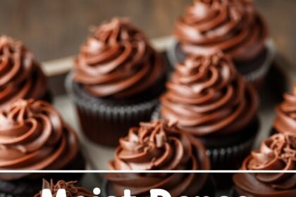 Moist Dense Chocolate Cupcakes