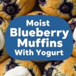 Moist Blueberry Muffins With Yogurt