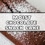 Moist Chocolate Snack Cake