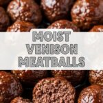 Moist Venison Meatballs