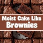 Moist Cake Like Brownies