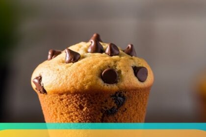 Chocolate Chip Muffins Easy