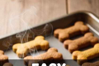 Easy Dog Treat Recipes