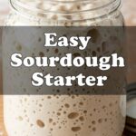Easy Sourdough Starter