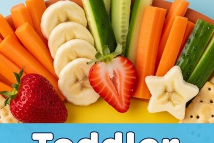 Toddler Healthy Snacks