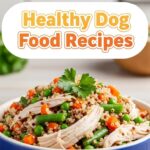 Healthy Dog Food Recipes