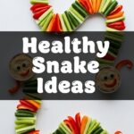 Healthy Snake Ideas