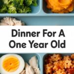 Dinner For A One Year Old