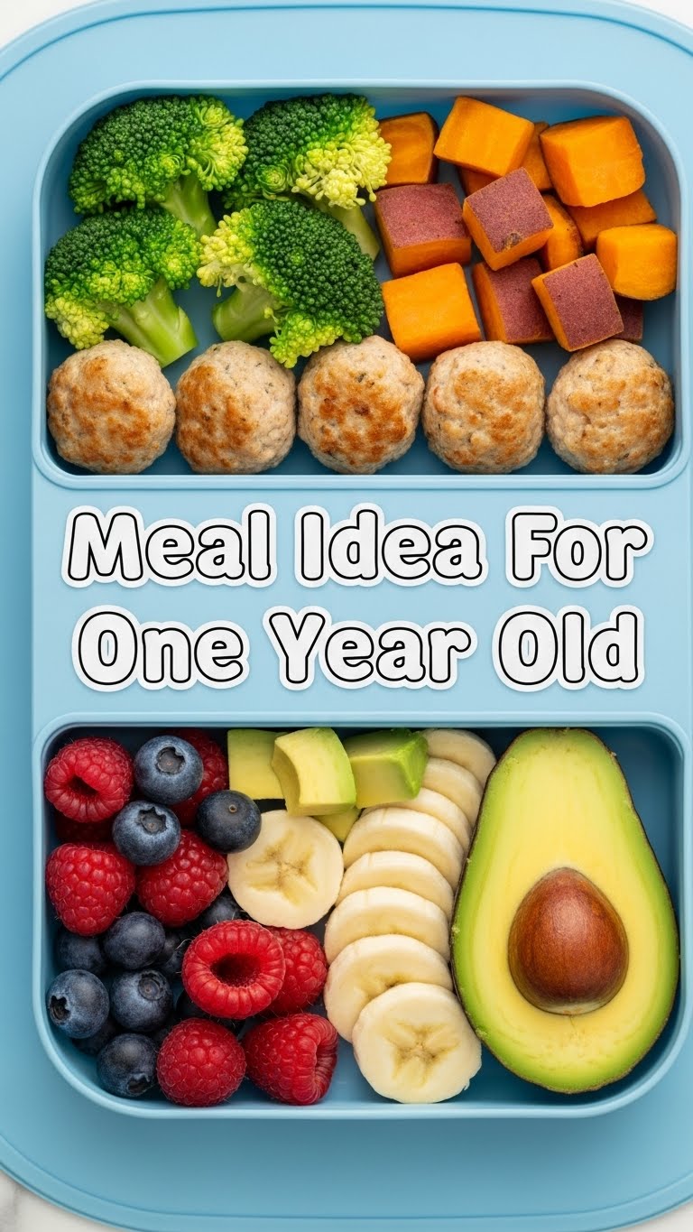 Meal Idea For One Year Old