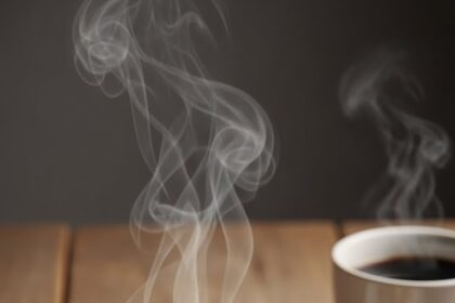 Cookies For One Person